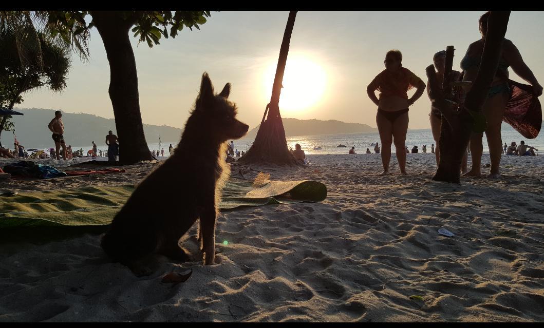 The Atlas Patong Esterno foto
